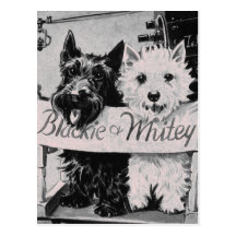 * Postal rosada bonita clásica de Poochies *