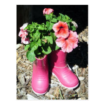 Postal rosada de la flor de las botas