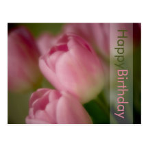 Postal rosada del cumpleaños de los tulipanes