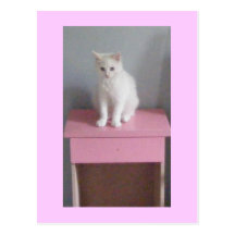 postal rosada y bonita del gatito