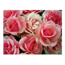 Postal - rosas