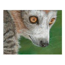 Postal salvaje del Lemur de los ojos
