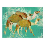 Postal soñadora de los camellos