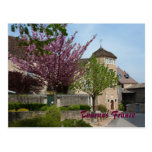 POSTAL - Tournus Francia tarjetas postales