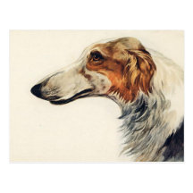 Postal veterinaria del recordatorio de la cita