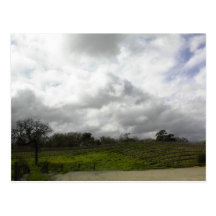 Postal: Viñedos de Zenaida, Paso Robles, CA