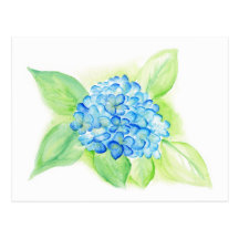 postales azules del hydrangea
