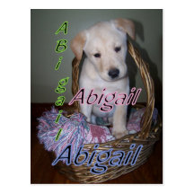 postales de Abigail
