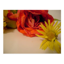 postales de la flor