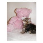 postales del gatito y del peluche