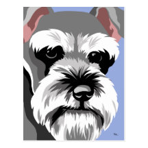 Postales del Schnauzer miniatura