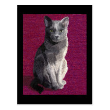 Postales grises del gato