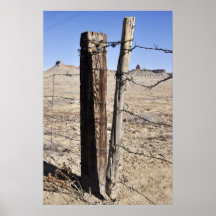 Poste de la cerca del desierto posters