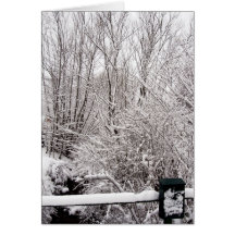 Poste Nevado Tarjetas