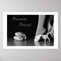 Poster 1 de la búsqueda de las pasiones