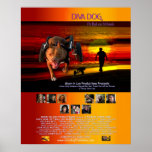 Poster 23" básico del PERRO de la DIVA x28.75 "