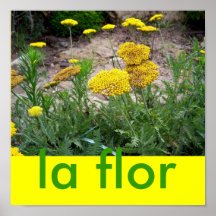 poster 2 de Flor del la
