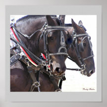 Poster #2 de los caballos de proyecto