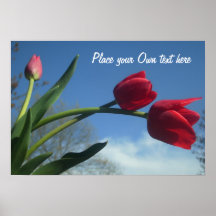 Poster adaptable de los tulipanes de la primavera