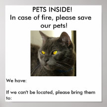 Poster alerta del mascota
