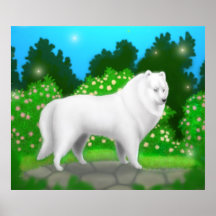Poster americano del perro esquimal