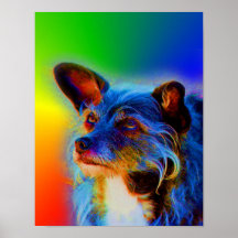 Poster animal del perro de la mezcla de Terrier de