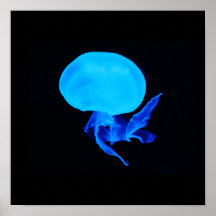 Poster-Animals-18