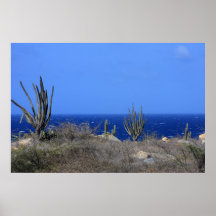 poster Aruba