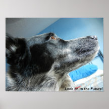 Poster azul de Heeler