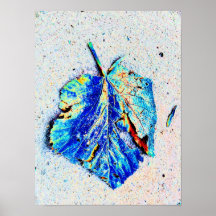 Poster azul de la hoja