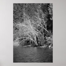 Poster blanco y negro del lago