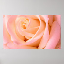 Poster casi rosado, S Cyr