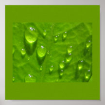 Poster-Color 38 Terapia-Verdes