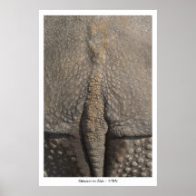 Poster con la piel del rinoceronte