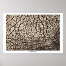 Poster con madera texturizada