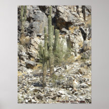 Poster/coto de las montañas de Phoenix