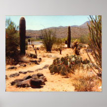 Poster de Arizona de la abuela