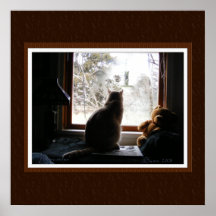 Poster de Birdwatcher