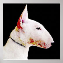 Poster de bull terrier del inglés