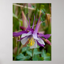 Poster de Columbine