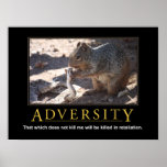Poster de Demotivational: Adversidad