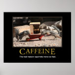 Poster de Demotivational: Cafeína