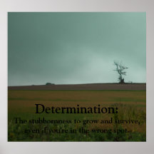 Poster de Demotivational de la determinación