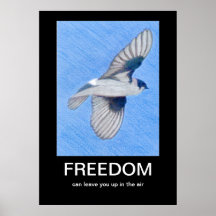 Poster de Demotivational de la LIBERTAD