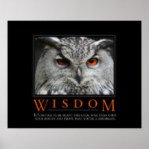 Poster de Demotivational de la sabiduría