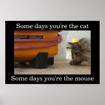 Poster de Demotivational del gato y del ratón
