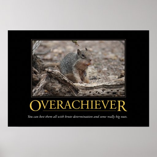 Poster de Demotivational: Overachiever
