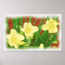 Poster de Digitaces del Daylily