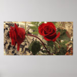 Poster de dos rosas