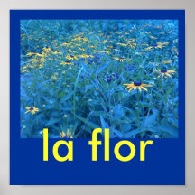 poster de Flor del la